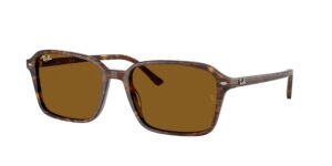 0RB2231 RAIMOND 141833 - Transparent Fantasy Brown - B-15 Brown - Size 56