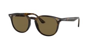 0RB4259 710/73 - Light Havana - B-15 Brown - Size 51