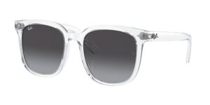 0RB4401D 64478G - Transparent - Grey - Size 55