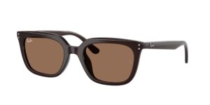 0RB4439D 623173 - Opal Brown - Dark Brown - Size 54