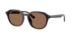 0RB4459D 623173 - Opal Brown - Dark Brown - Size 54