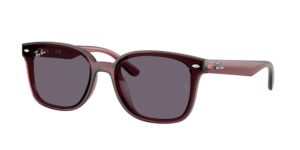 0RB4461D 659373 - Transparent Dark Brown - Violet - Size 64