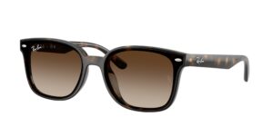 0RB4461D 710/13 - Havana - Gradient Brown - Size 64