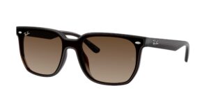 0RB4466D 714/13 - Transparent Dark Brown - Brown Gradient - Size 47