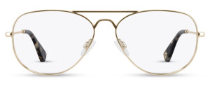 Arhlo ARH039 C15614 glasses frame in Gold – product photo